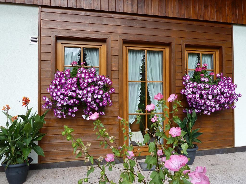 Haus Silvia Apartment Werfenweng Exterior photo